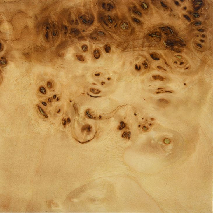 Biggs Brown and White Stool