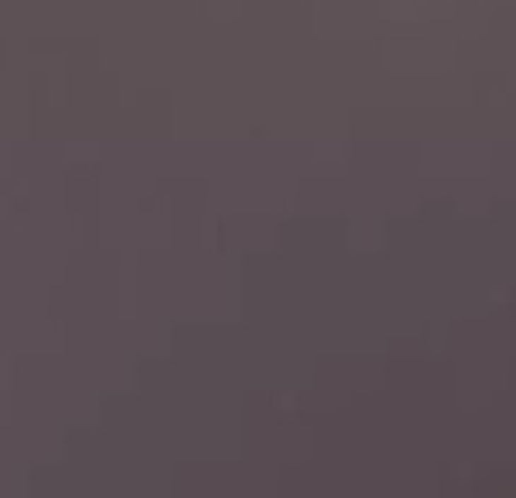 Fontana Dark Gray Dining Chair Set of 2