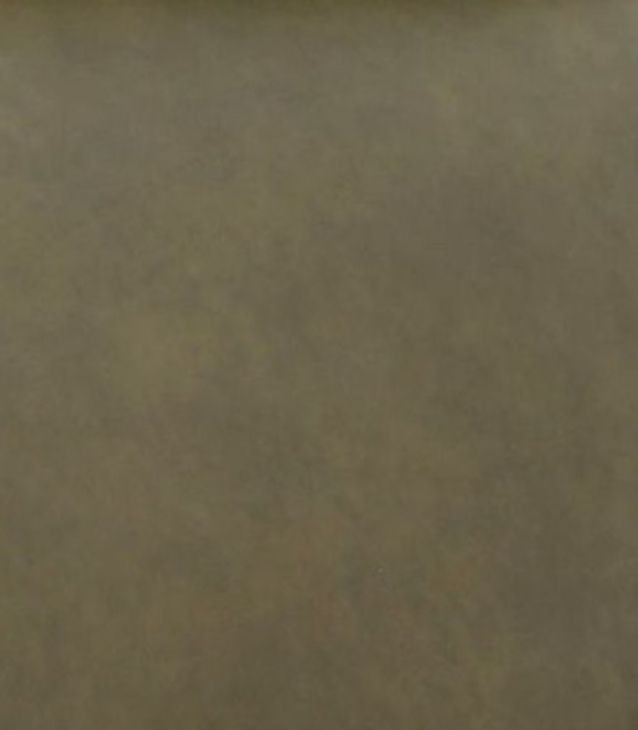 Charlotte Oasis Olive Leather Power Recliner with Power Headrest