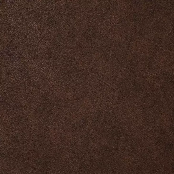 Dalton Brown Chestnut Leather Living Room Set