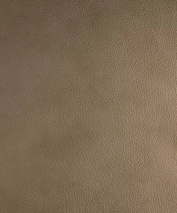 DC-131 Lotus Cream Leather Desk Chair