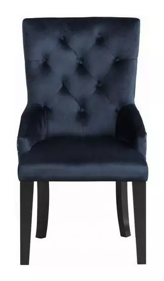Varian II Dark Navy Upholstered Side Chair with Nailhead Trim