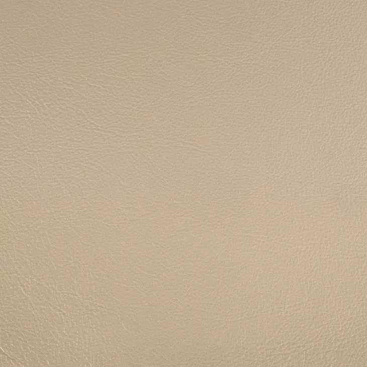 Danae Champagne Upholstered Side Chair with Nailhead Trim Set of 2