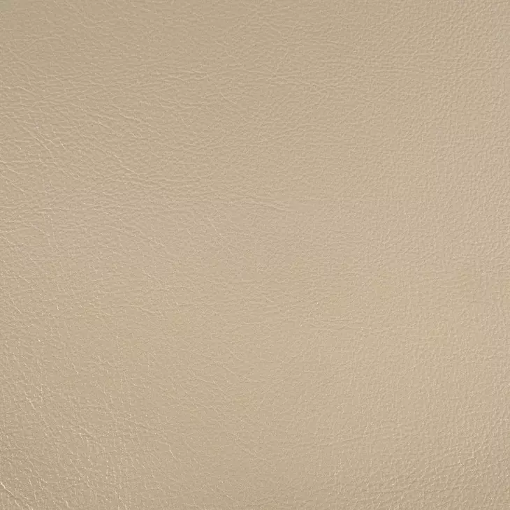 Sorina Gold Upholstered Side Chair with Nailhead Trim Set of 2