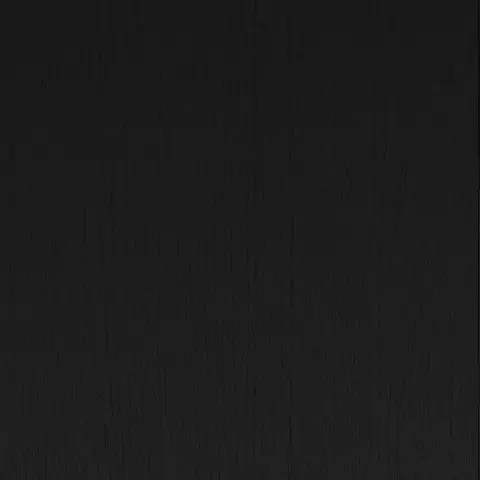 Finch Matte Black Queen Panel Headboard