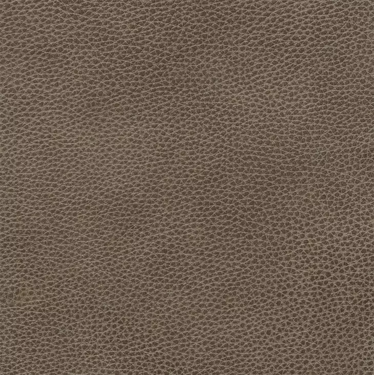 Kaden Elliott Taupe Leather Power Recliner with Power Lumbar and USB Charging