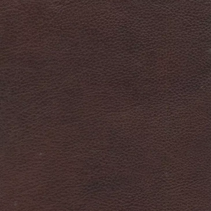 Fairview Elway Fudge Leather Push Thru The Arms Recliner