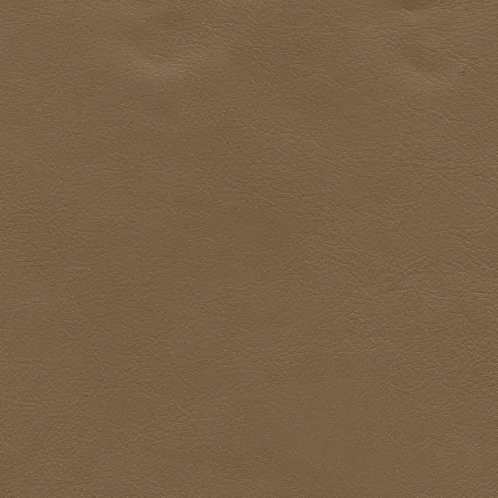 Shasta Elwood Cider Leather Push Thru The Arms Recliner with Nailhead Trim