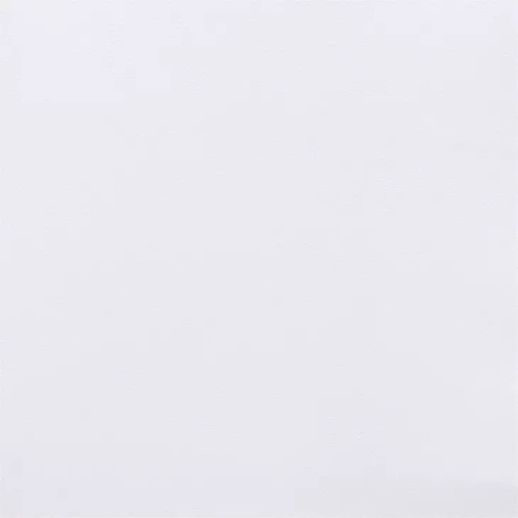 Desi White Dining Chair Set Of 2