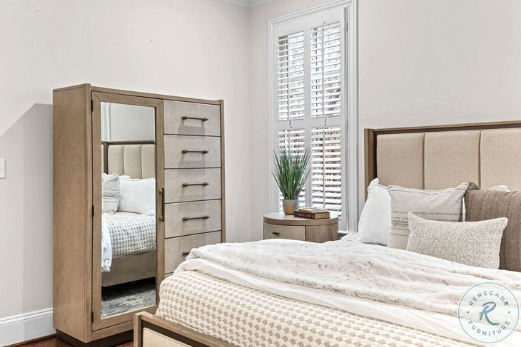 Vista Verde Muted Earth Tones and Clay Woven 1 Mirrored Door Chest