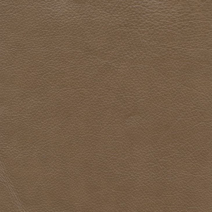 Cara Florida Saddle 59" Power Reclining Loveseat with Power Headrests and Power Lumbar