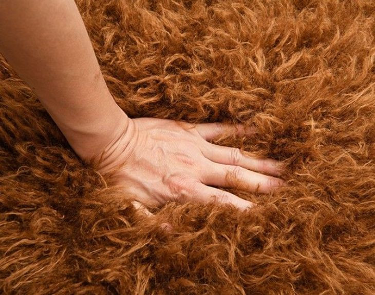 Eramo Camel Brown Upholstered Accent Chair