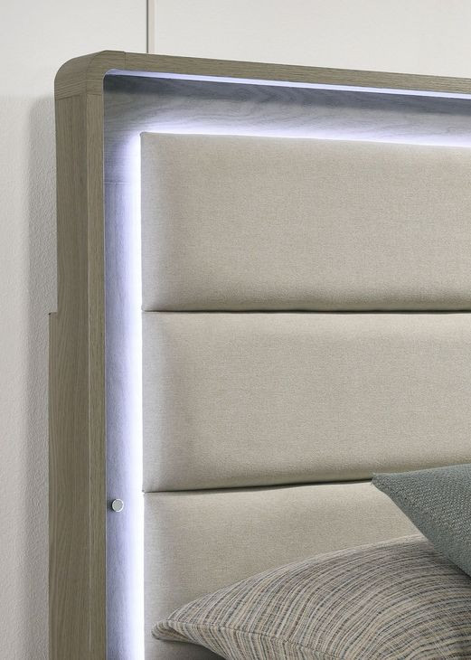 Rainier Gray and White Queen Upholstered Panel Bed with LED
