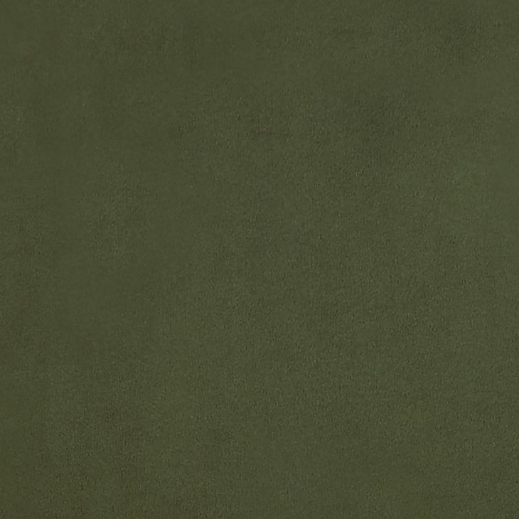 Evan Green Upholstered Side Chair Set of 2