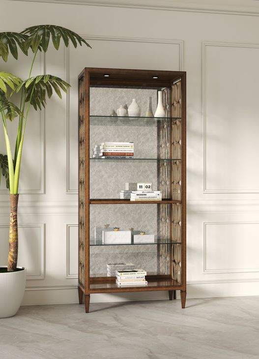 Eave Brown and Gold Etagere and Bookcase with 5 Shelves