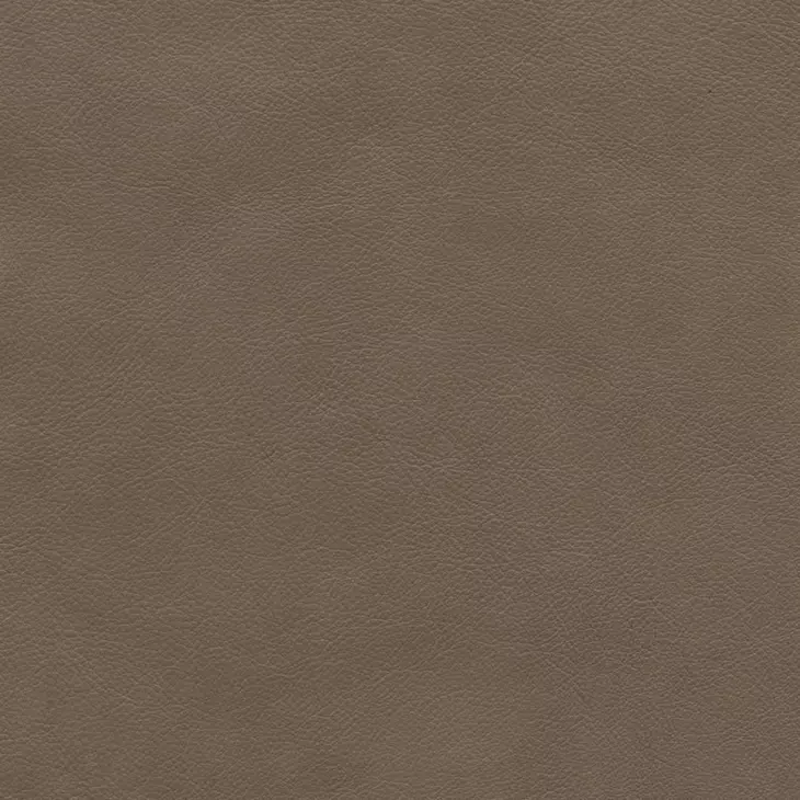 Melrose Cashmere Taupe Leather Push Thru The Arms Recliner with Nailhead Trim