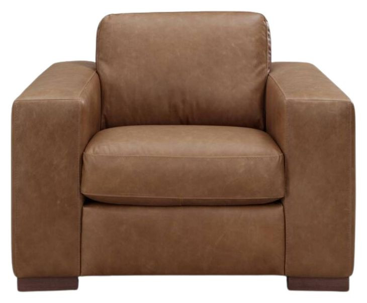 Inglewood Vintage Brown Derby Leather Upholstered Accent Chair