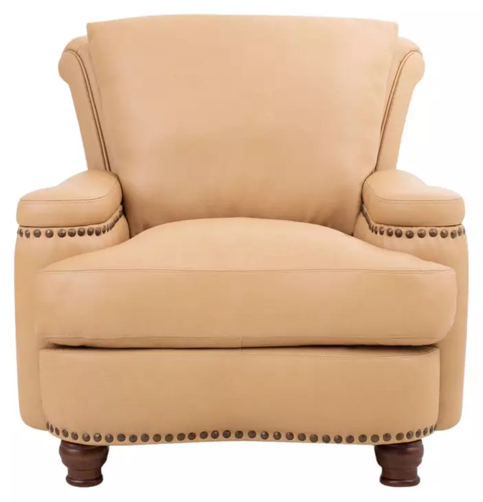 Hutton Tan Fawn Leather Upholstered Accent Chair with Nailhead Trim