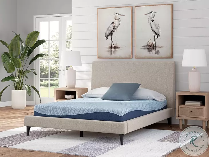 Dellyn White 8 Memory Foam Full Mattress