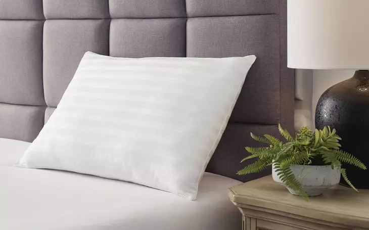 Zephyr 2.0 White Accent Pillow Set of 2