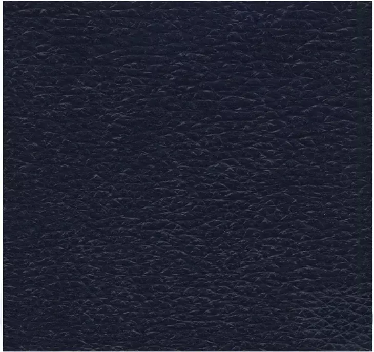 Leighton Marco Navy Blue Leather Lay Flat Power Lift Recliner with Power Headrest and Power Lumbar
