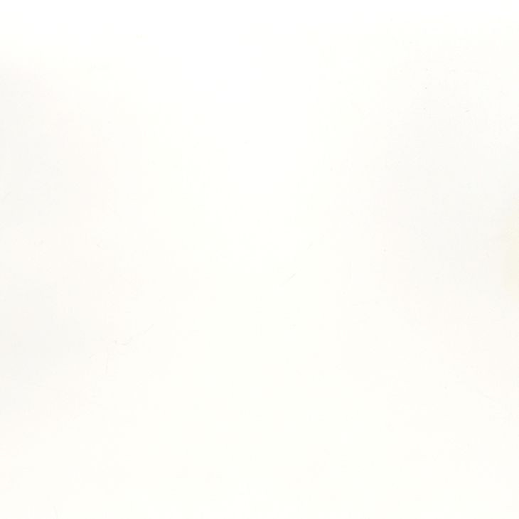 Alden White Lacquer 2 Door Cabinet