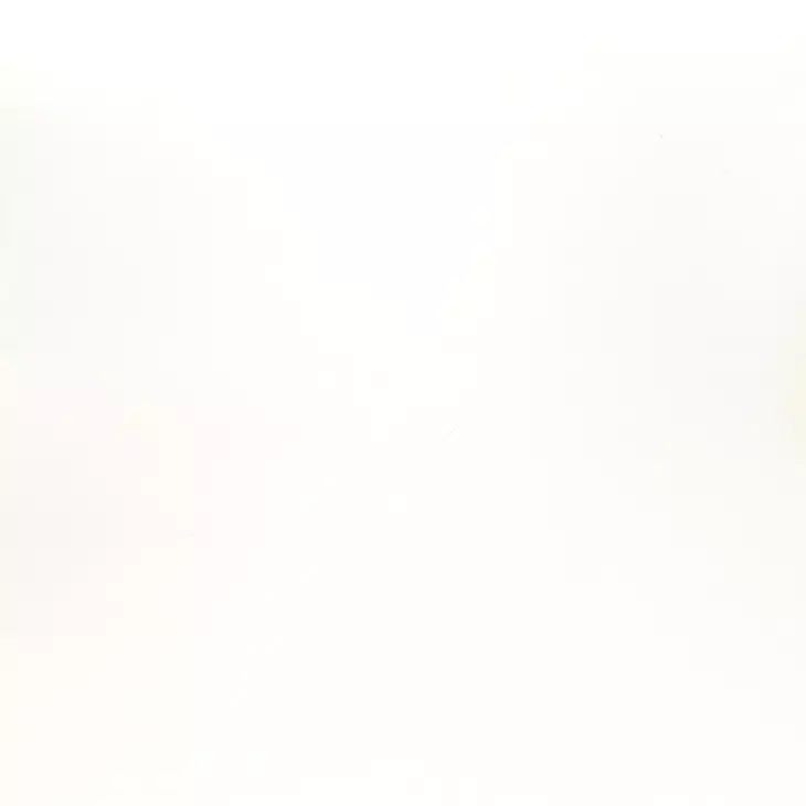 Alden White Lacquer 2 Door Cabinet