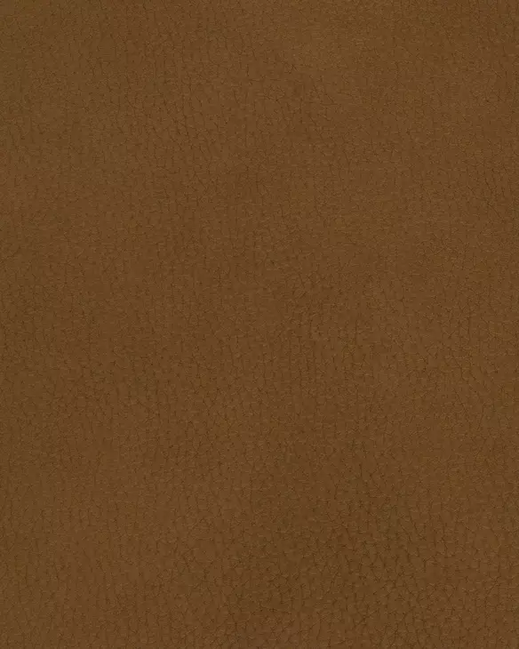 Gershwin Lucca Butterscotch Power Recliner with Zero Gravity