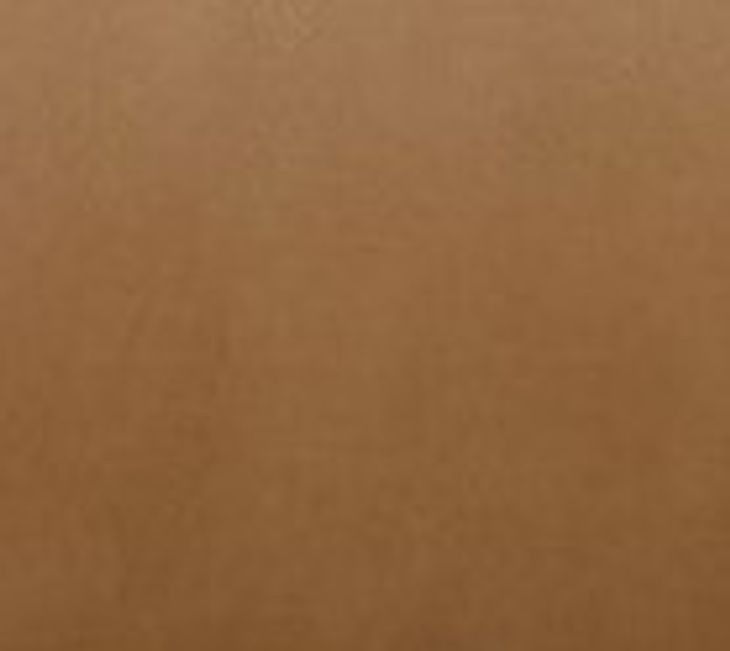 Gershwin Lucca Butterscotch Power Reclining Sofa with Zero Gravity