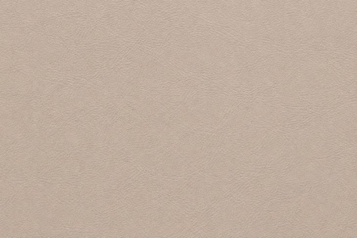 Millbrook Taupe Plain Leather Upholstered Accent Chair