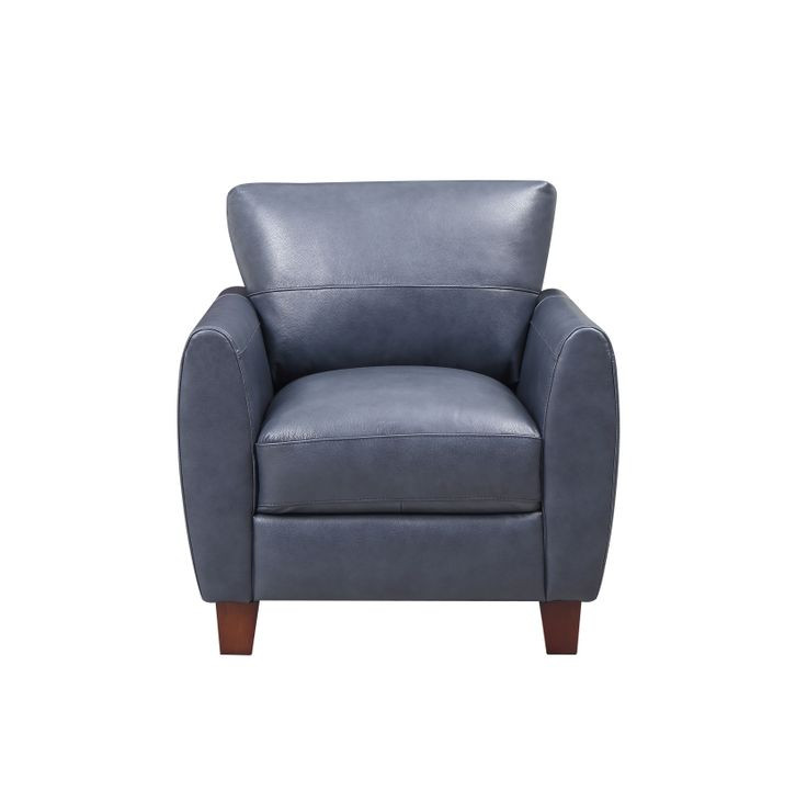 TerraTrek Ocean Blue Leather Upholstered Accent Chair