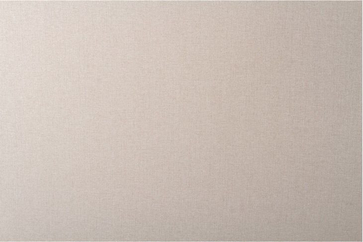 Maren Beige Queen Upholstered Platform Bed