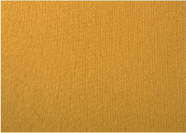 Rae Deep Yellow Upholstered Outdoor Accent Chair