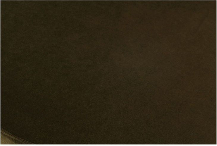 Dane Green Upholstered Swivel Dining Chair