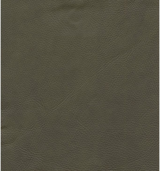 Ledger Oasis Olive Leather Push Thru The Arms Recliner