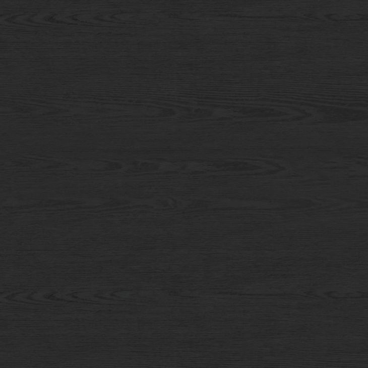 Camelot Black 2 Door Server