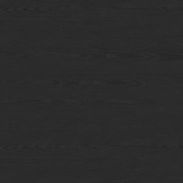 Camelot Black 2 Door Server