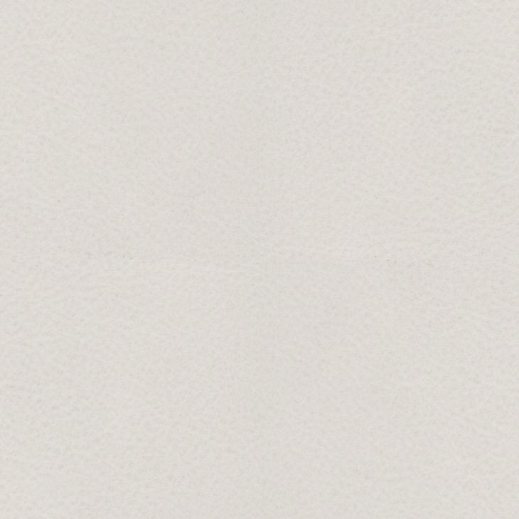 Jasmine Champagne Natural King Upholstered Panel Bed