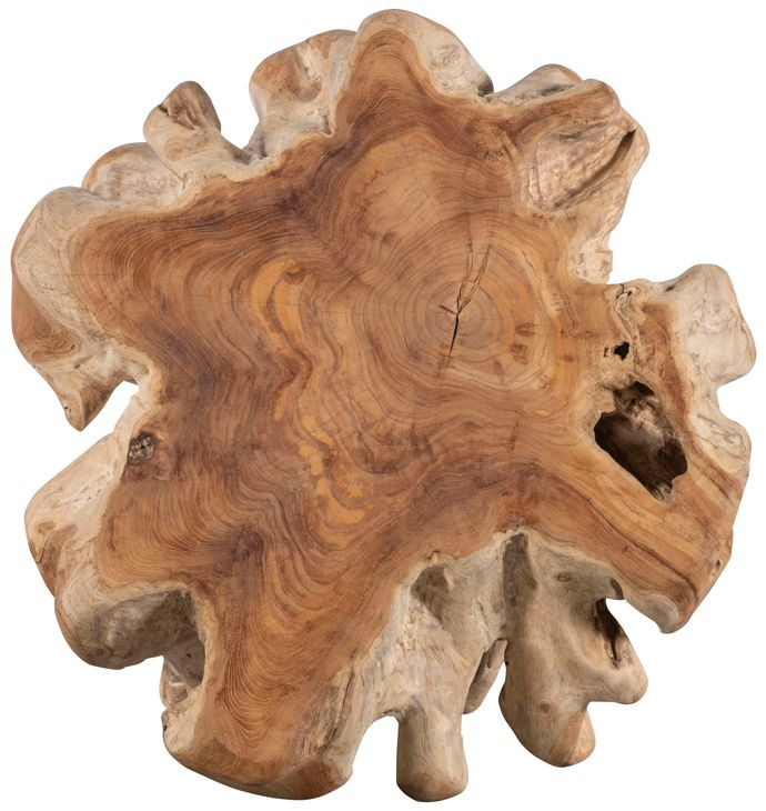 Hunter Natural Teak Root Accent Table