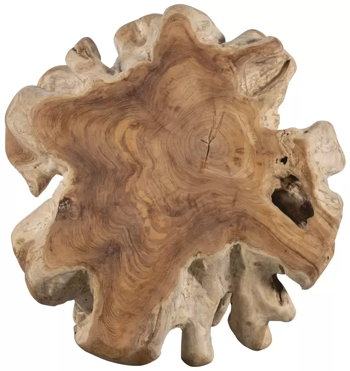 Hunter Natural Teak Root Accent Table