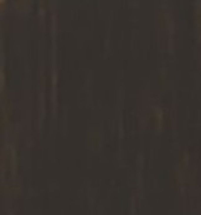 Shoreham Medium Roast 24" Bookcase