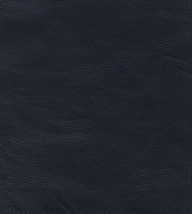 Danbury Shoreham Blue Leather Push Thru The Arms Recliner with Nailhead Trim