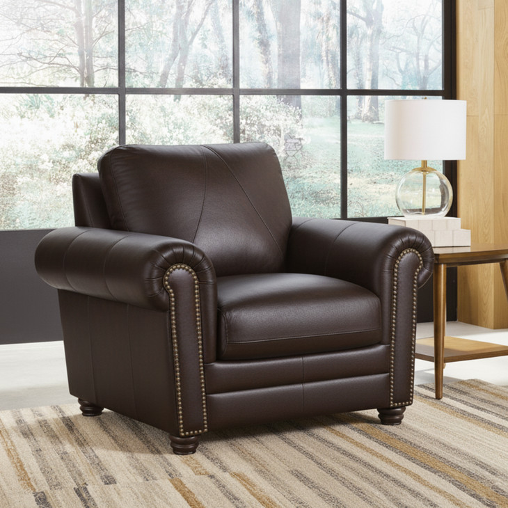 Brookstone Chocolate Leather Living Room Chair with Nailhead Trim