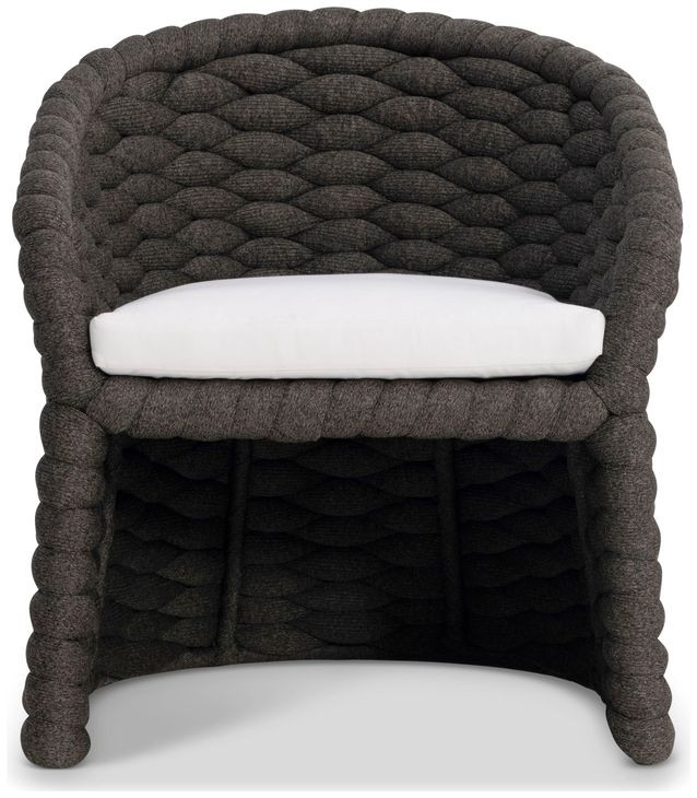 Salinas Dark Umber and White Performance Fabric Outdoor Arm Chair