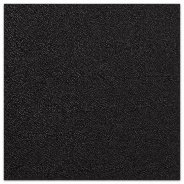 Calizor Black Leather Upholstered Lounge Chair