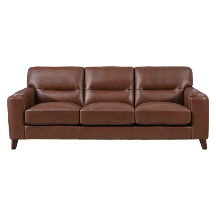 Elwyn Cranberry Leather 87" Sofa