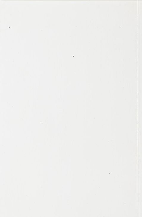 XXXs and OOOs Cotton Windsor Side Chair Set of 2