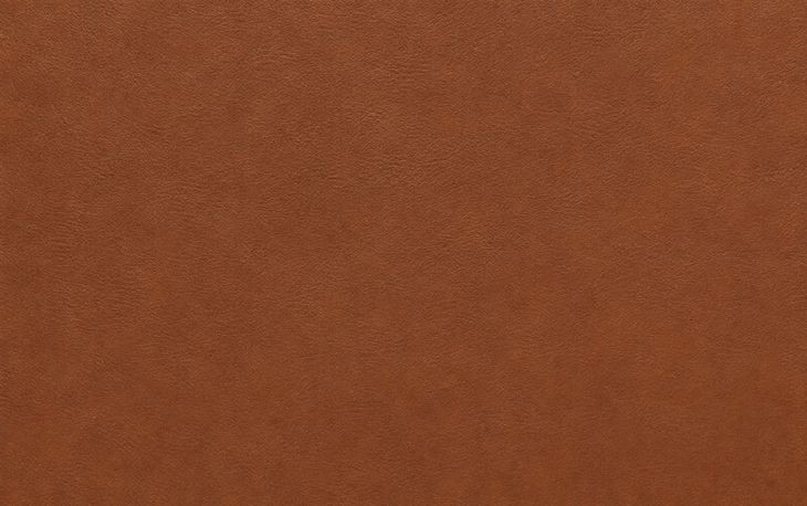Weston Highland Saddle Leather 59" Loveseat
