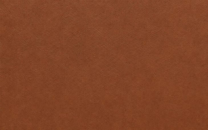Weston Highland Saddle Leather 59" Loveseat