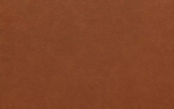 Weston Highland Saddle Leather Living Room Set